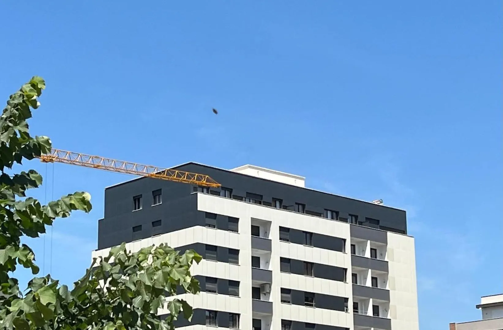 Bosko Apartment 地拉那